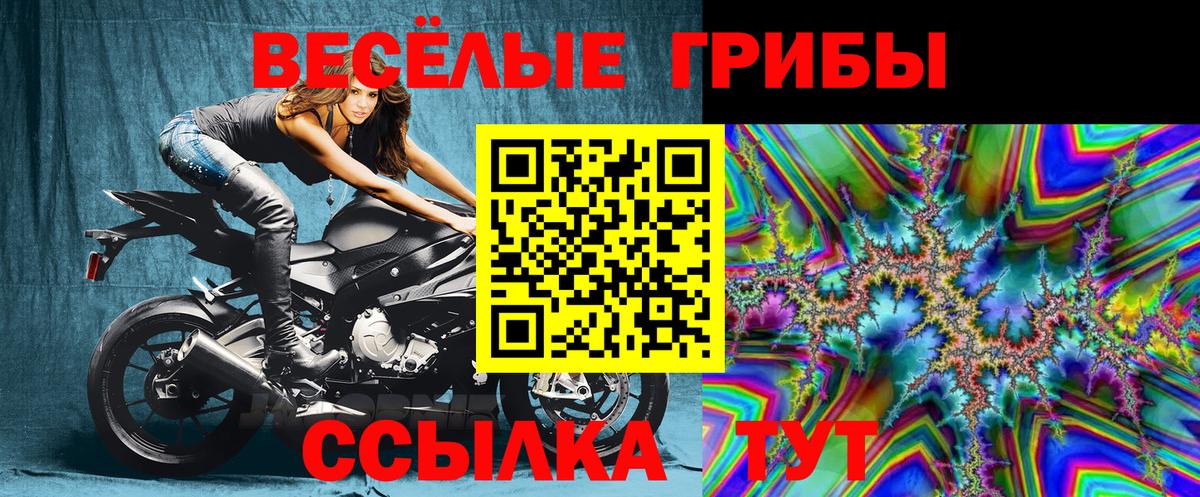 Галлюциногенные грибы мицелий Красноярск