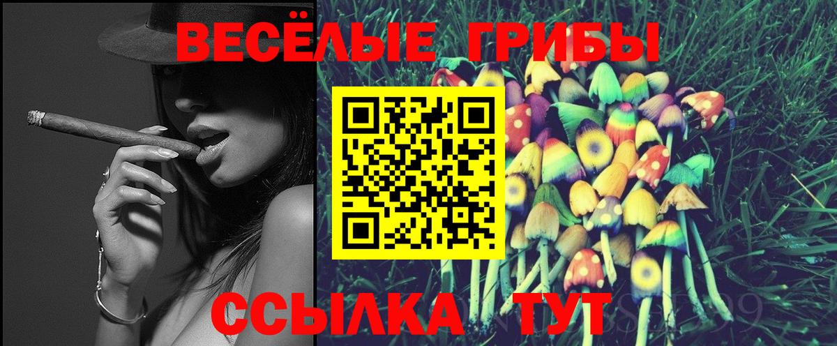 Псилоцибиновые грибы мицелий  Вход с VPN  Красноярск 